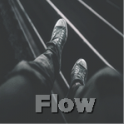 Flow1337