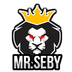 MrSebyy