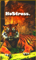 NoStress..gif.gif.4e4e2995f676760b167ee0ae8a039f57.gif