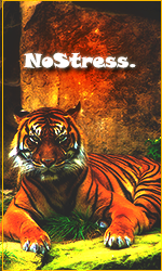 NoStress..png.01c6ddad729d82f1895a7f1f297eccf8.png