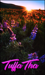 TuffaTha.png.4dac8ebfb7b662fb6a8f4da7d1b58289.png