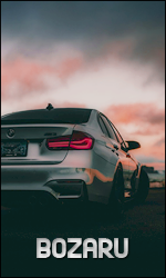 bozaru.png.76c6f48270c048f886fba895b4e009ed.png