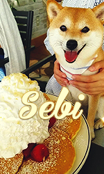 Sebi4.jpg.ef355769222573d5351f97617a0e4c09.jpg