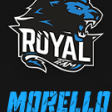 Morello ROYAL