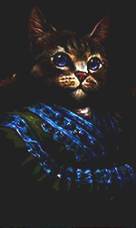 Enzo22.gif.67c5606a6b7a5ae29c10377674b7dbef.gif