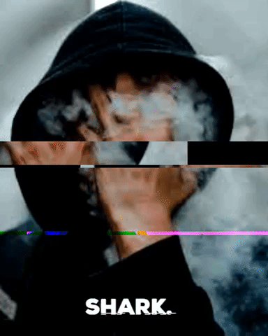 Shaark