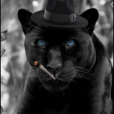 GangsterPanther