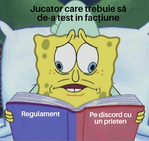 Spongebob Divided Book 30072019000419.jpg