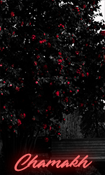 chama1.png.3ce2d06b259e38dfb69f37013a0bb095.png
