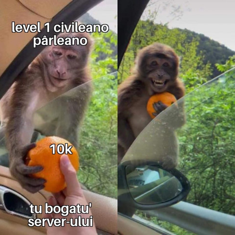 2114970075_meme12.thumb.jpg.16160ed32f226c14b535173081fbcc7e.jpg