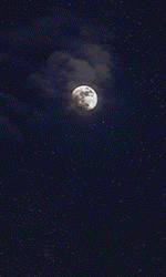 iaroav.gif.68ba8b9dc660d97c5c6f7b78ac7d9203.gif