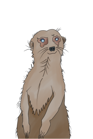 mangusta_project.png