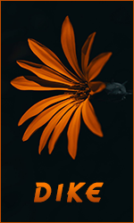 af6d0141df99aae7a4066be39c847cdd.png