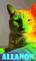 pentru-baiat.gif.b7c0f4164325e79661d905916d970181.gif
