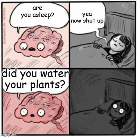 5oyyw2.thumb.jpg.d5958acfb1e208f499b296e586a6f2a4.jpg