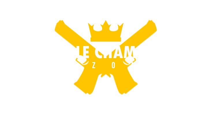 v1x.png