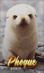 SoreNarrowKoodoo-max-1mb.gif.adb984068fd10d7a6433e8f4cc0a77e6.gif