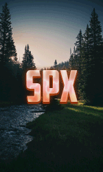 S P X