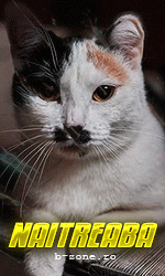 BrowserPreview_tmp.gif.776ac3df2be090473c357a2166ec171b.gif