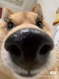 4d0cc349c56c8cd7d198a5c66d42a885_2_50.jpg.1ae838bd5147d8f35fb0ecd2072d6cdd.jpg