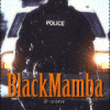 BlackMamba29
