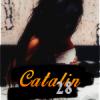 Catalin28