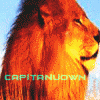 CapitanulOWN