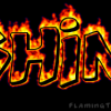 Shin