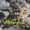 AlexandruL