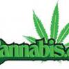 CaNnAbBiS