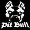 PiT BuLL