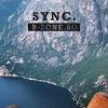 SyNc21